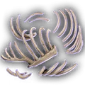 Thumbnail for version as of 07:12, 16 June 2026