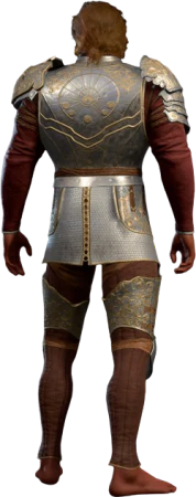 Armour of Agility High Elf Back