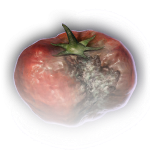 Rotten Tomato image