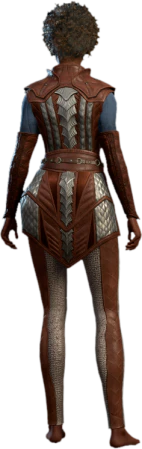 Scale Mail Human Back