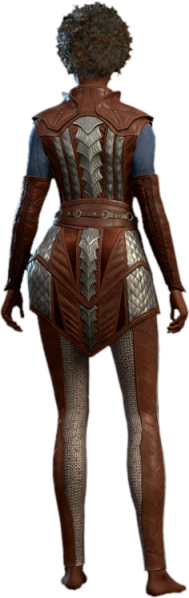 File:Scale Mail Human Back Model.webp - bg3.wiki