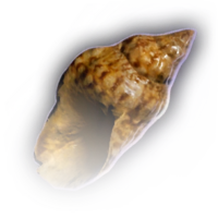 Clutter Conch A Faded.webp