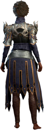 Damaged Dark Justiciar Armour Human Back