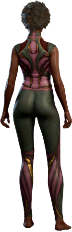 Lionheart Green-Pink Outfit Human Body1 Back Model.webp