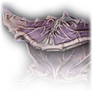 Cartilaginous Chest image