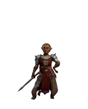 Model