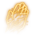 Barkskin Icon.png