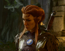 Kagha is in the sanctum, contemplating the error of her ways after helping the party to defeat the Shadow Druids.