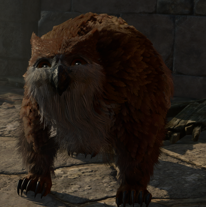 Owlbear Cub Bg3 Wiki   800px Owlbear Cub.webp 