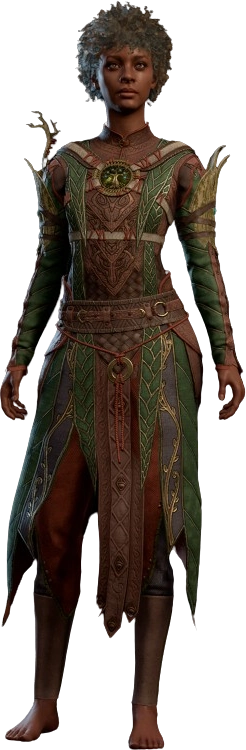 Druidic Leather Armour Human Front Model.webp