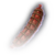 FOOD Dried Beef Sausage Faded.png