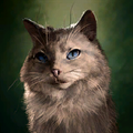 Portrait Cat.png