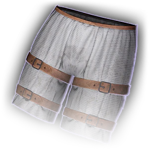 Underwear/Gnome image