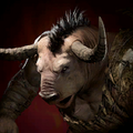 Portrait Minotaur.png