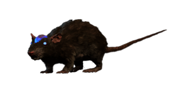 Cranium Rat Model.png