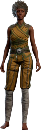 Monastic Robes Human Front