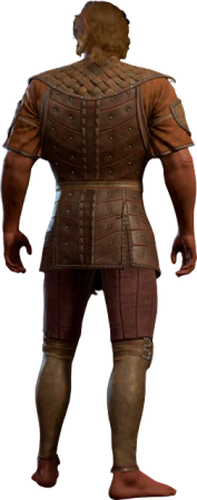 Studded Leather Armour High Elf Back