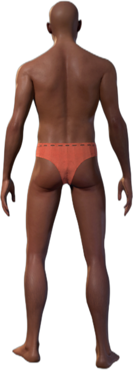 Underwear C Human Back