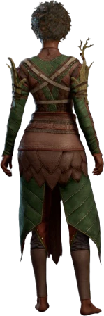 Druidic Leather Armour Human Back