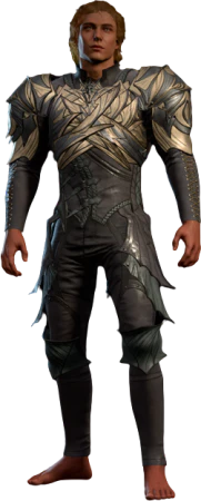 Spidersilk Armour High Elf Front