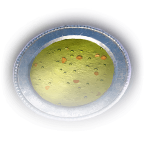 FOOD Split Pea Soup R Faded.png