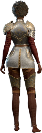 Half Plate Armour +1 Human Back