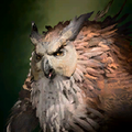 Portrait Owlbear (wild shape).png