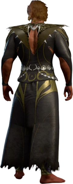 File:Viconia s Priestess Robe Half-Elf Back Model.webp - bg3.wiki
