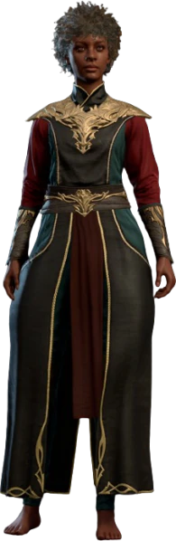 File:Robe of Exquisite Focus Human Front Model.webp - bg3.wiki