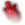 Heart-Shaped Rock