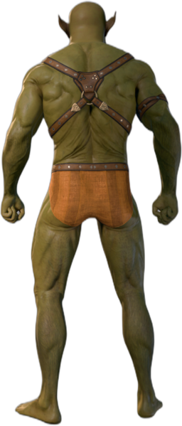 Half-Orc Male Back