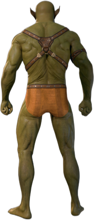 Underwear Half-Orc B 2.png