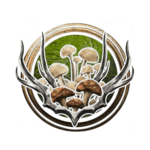Circle of Spores Icon.png