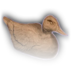 Whittled Duck image