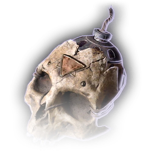 Orthonic Handbomb image