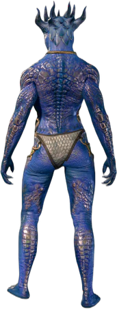 Bronze Underwear Dragonborn Back