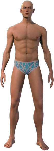 Underwear Half-Elf Front