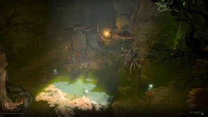 The swamp area of the basement (by Tim Coddens)