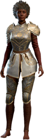 Half Plate Armour +1 Human Front