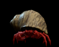 Armoured Crab.png