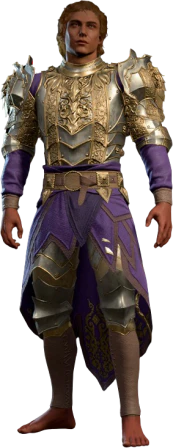 Plate Armour +1 High Elf Front