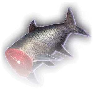 Headless Fish image