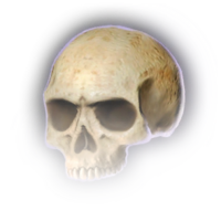 Skull B Icon.webp