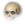 Skull (No Jaw)