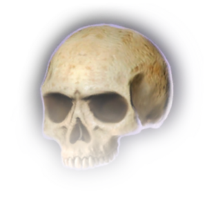 Painted Skull image