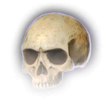 File:Skull B Icon.webp