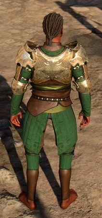 Half-Plate Armour +2 worn by Wyll