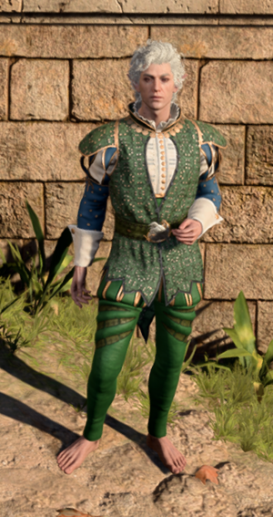 Blazer of benevolence in game male.png