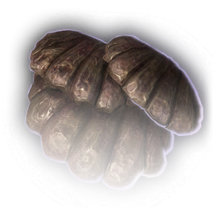 Brown Fungus image