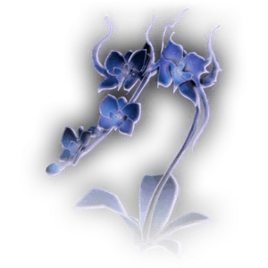 Night Orchid Icon.png